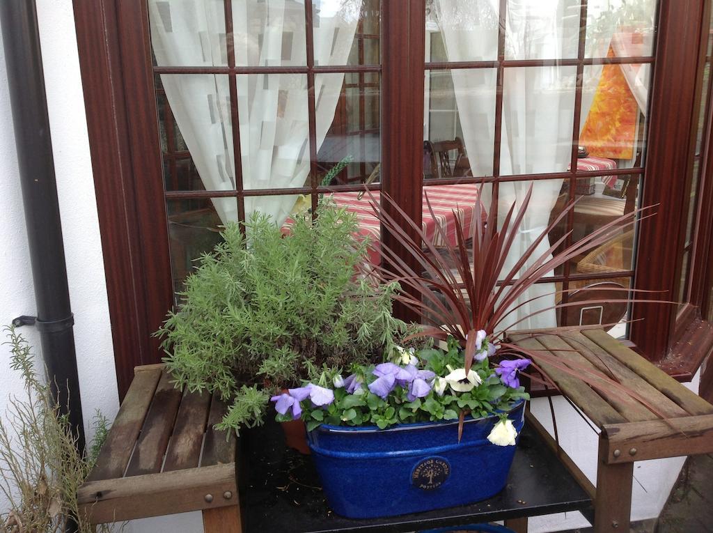 The Laurels Bed And Breakfast Cardiff Luaran gambar